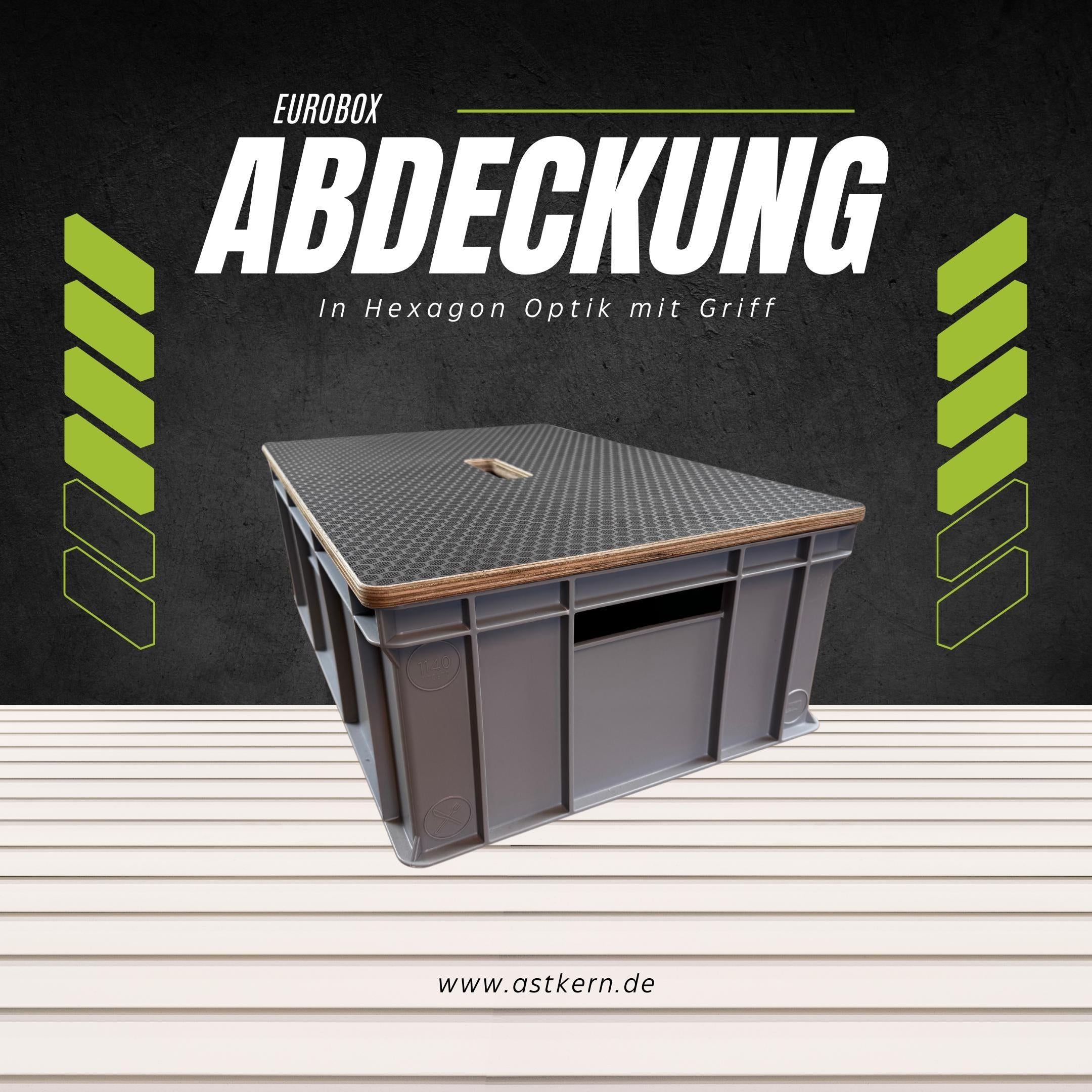 Eurobox-Deckel mit Griffloch
